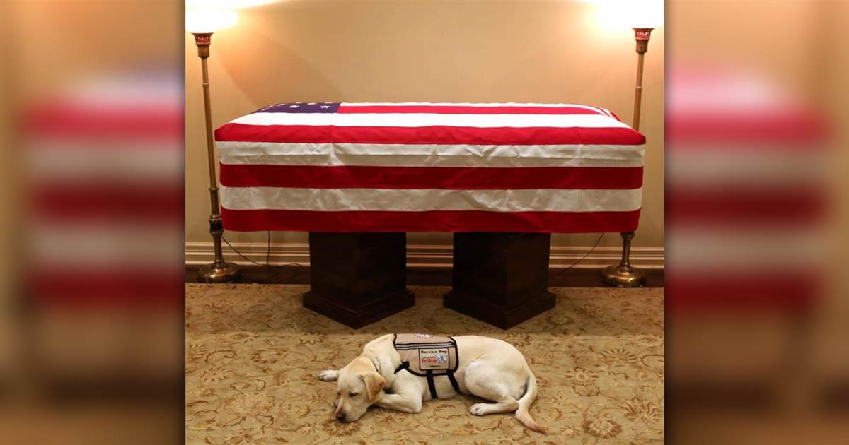 bush-service-dog-casket-today-main-181203_9de5b5e8b8fb1b3fdd67537267a2cc5a.1200;630;7;70;2